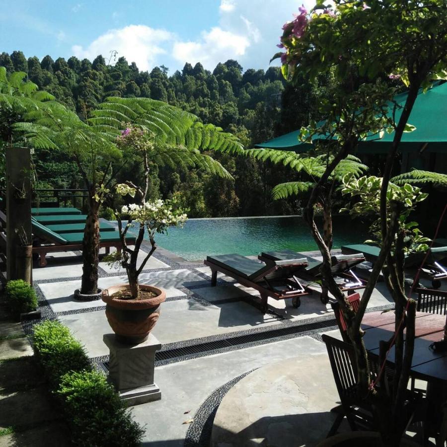 Bintang Munduk Exterior foto